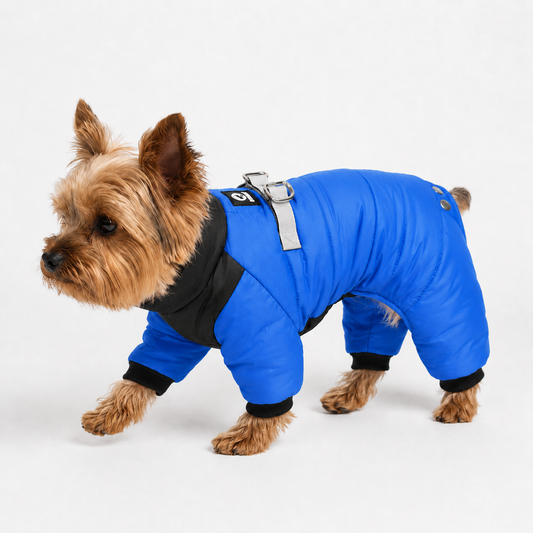 Combinaison Hiver 4 Pattes — Protection intégrale pour petits chiens frileux