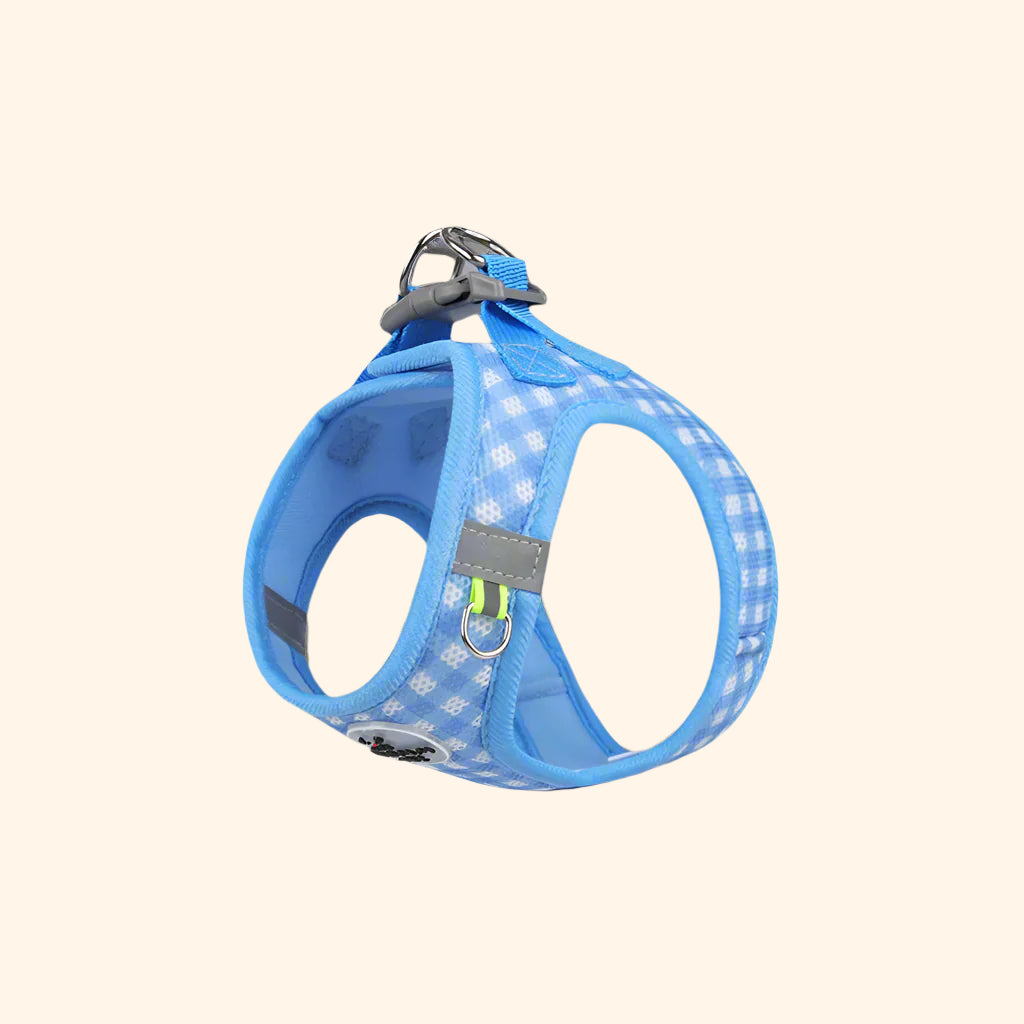 Harnais confort vichy + laisse – Bleu Glaçon