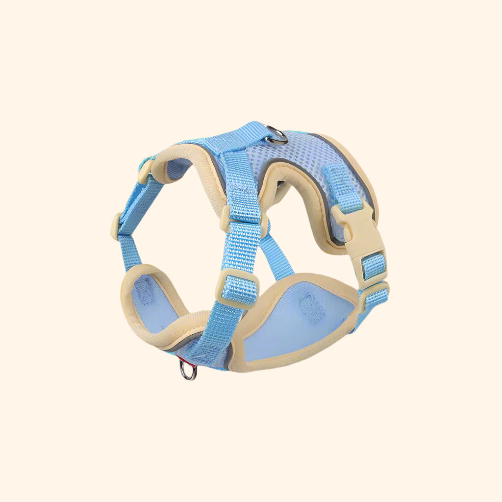 Harnais anti-fuite + laisse – Bleu Polaire