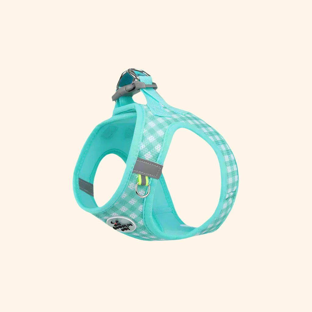 Harnais confort vichy + laisse – Menthe Givrée