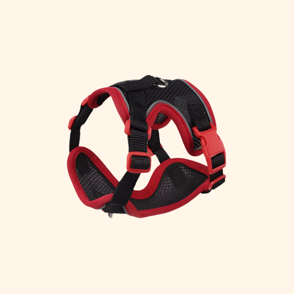 Harnais anti-fuite + laisse – Noir Cosmique