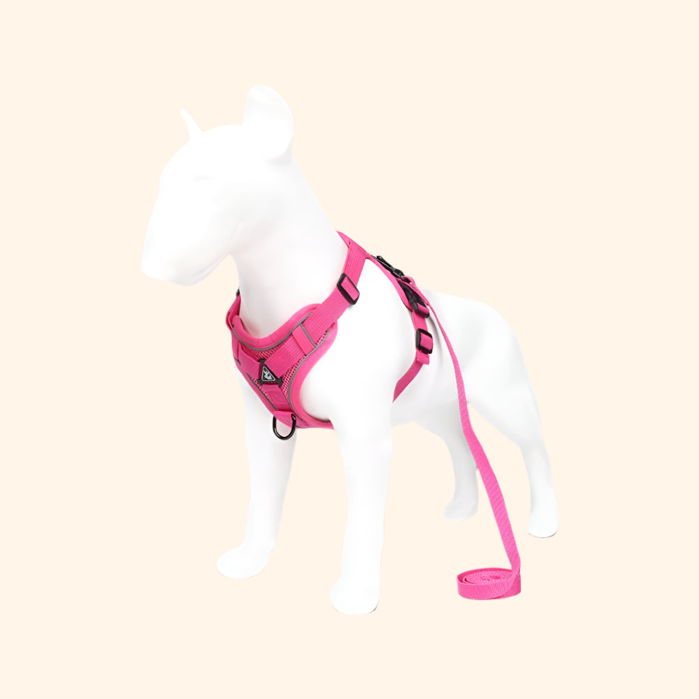 Harnais confort + laisse – Rose Frappée