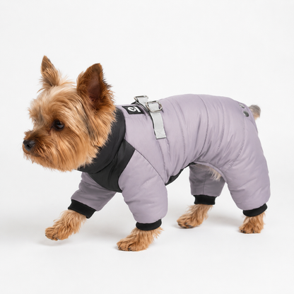 Combinaison Hiver 4 Pattes — Protection intégrale pour petits chiens frileux