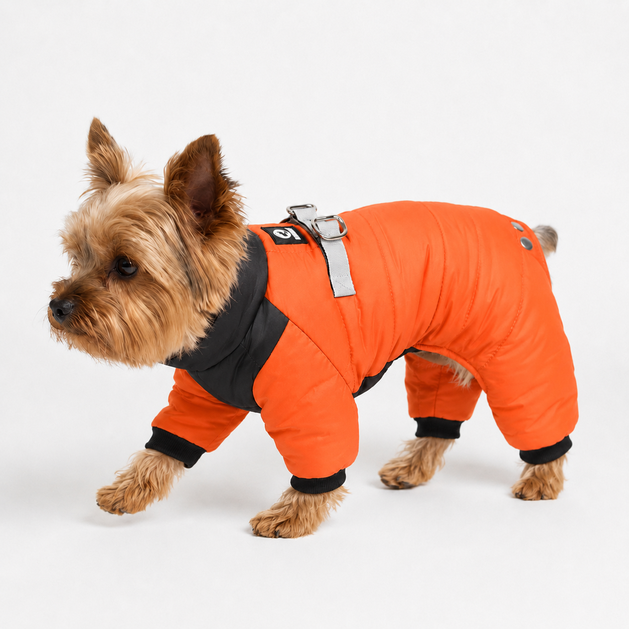 Combinaison Hiver 4 Pattes — Protection intégrale pour petits chiens frileux