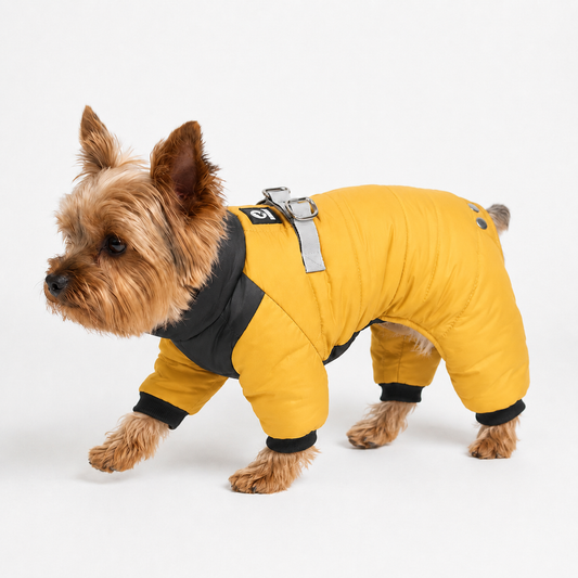 Combinaison Hiver 4 Pattes — Protection intégrale pour petits chiens frileux