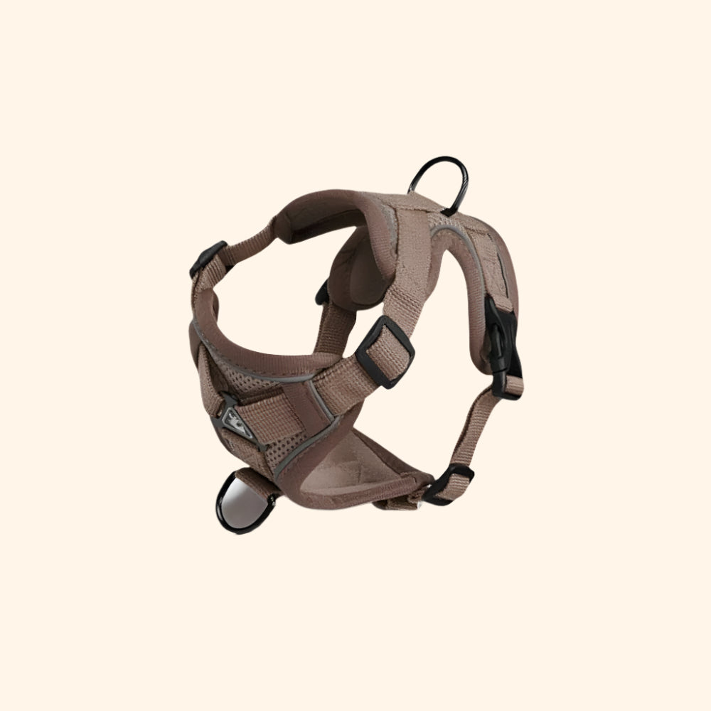 Harnais confort + laisse – Choco Douillet