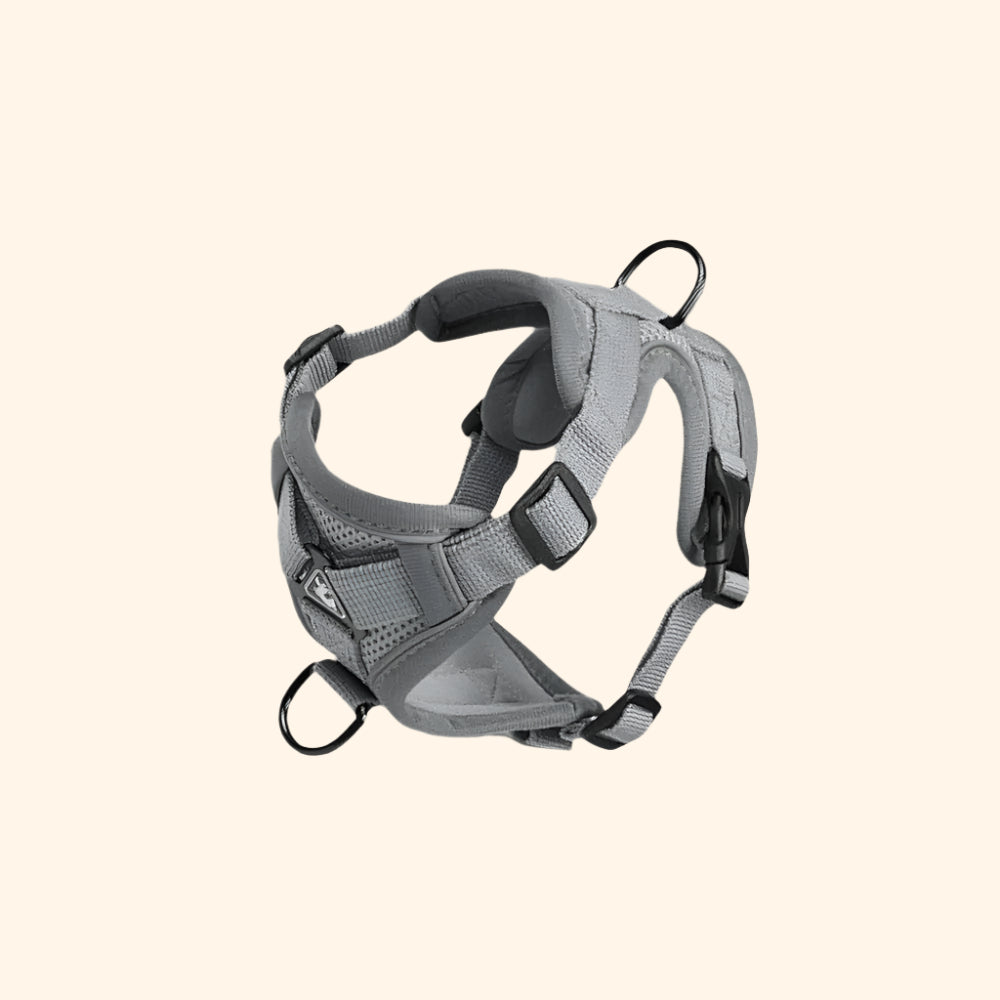 Harnais confort + laisse – Gris Brume