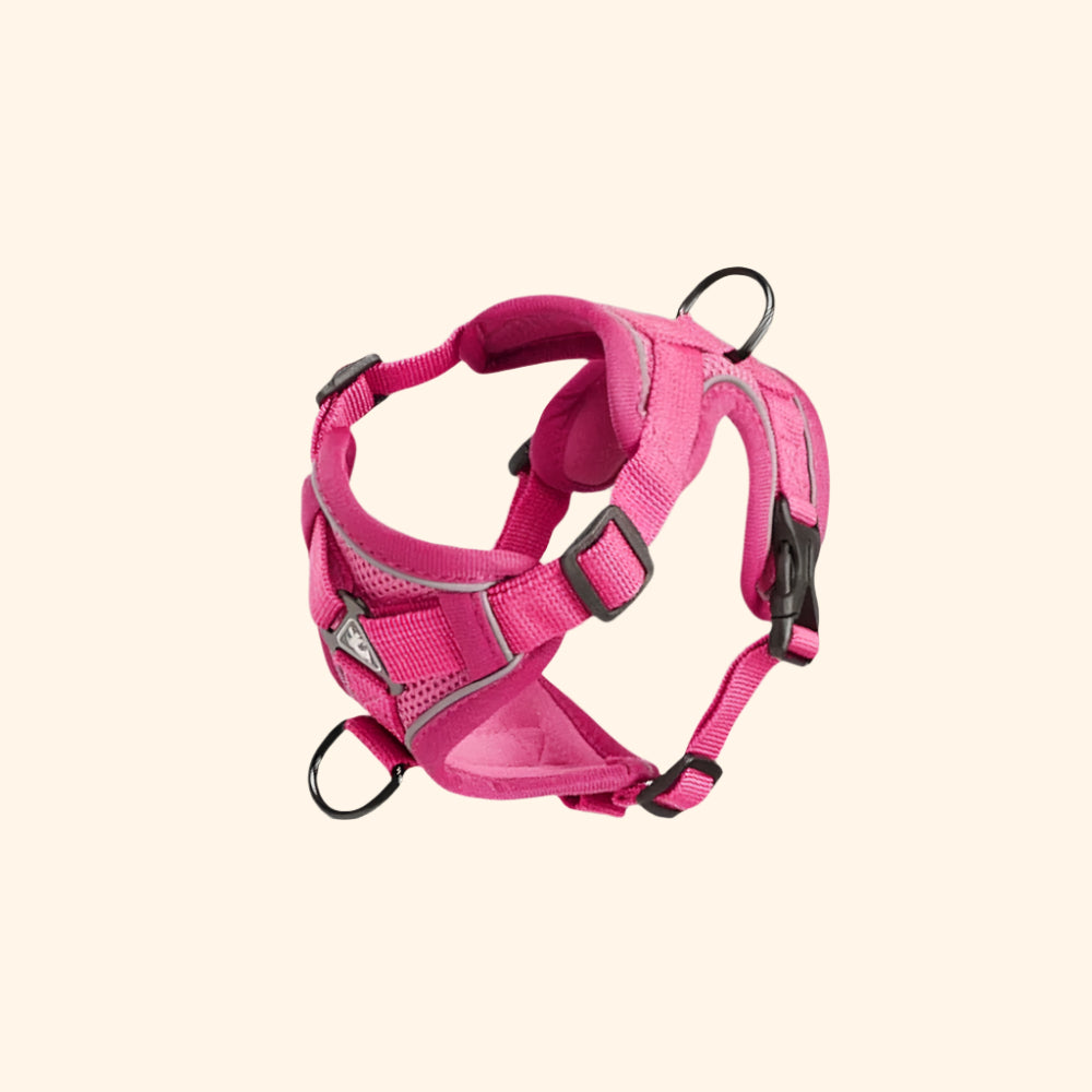 Harnais confort + laisse – Rose Frappée