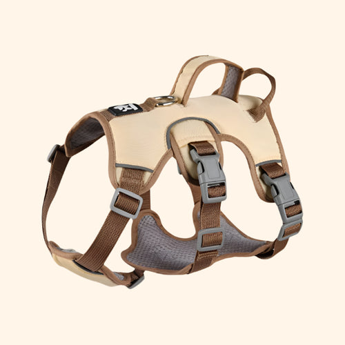 Harnais ajustable – Latte Mousseux