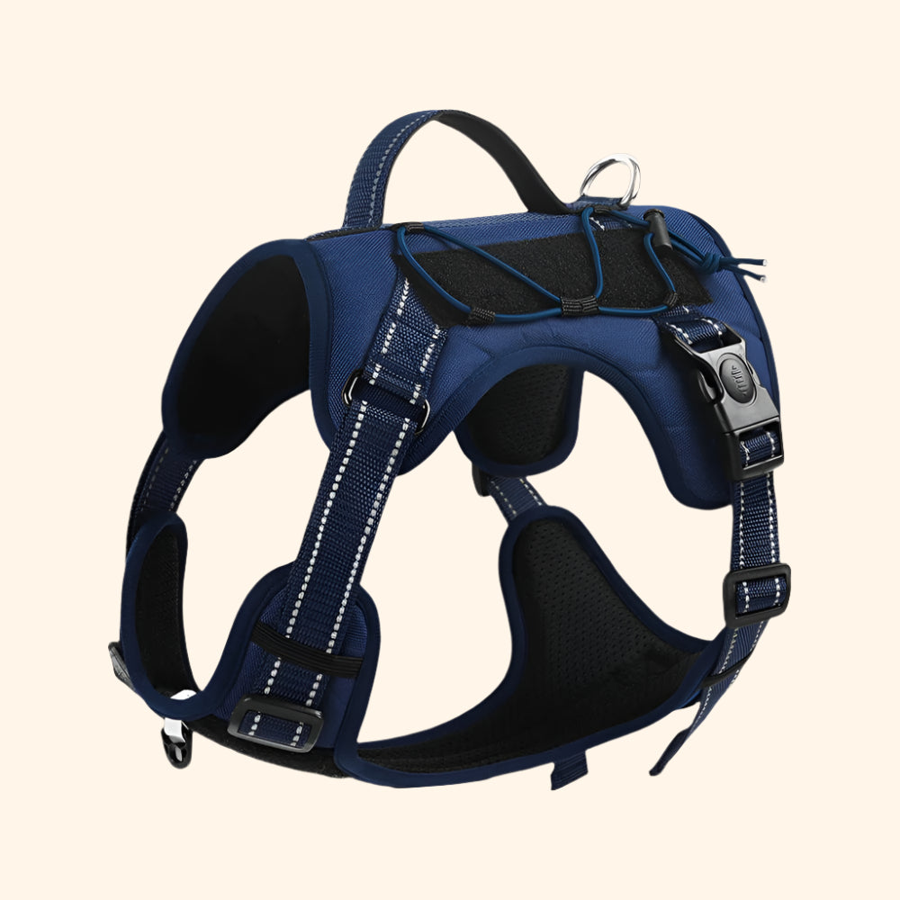 Harnais tactique + laisse – Bleu Profond