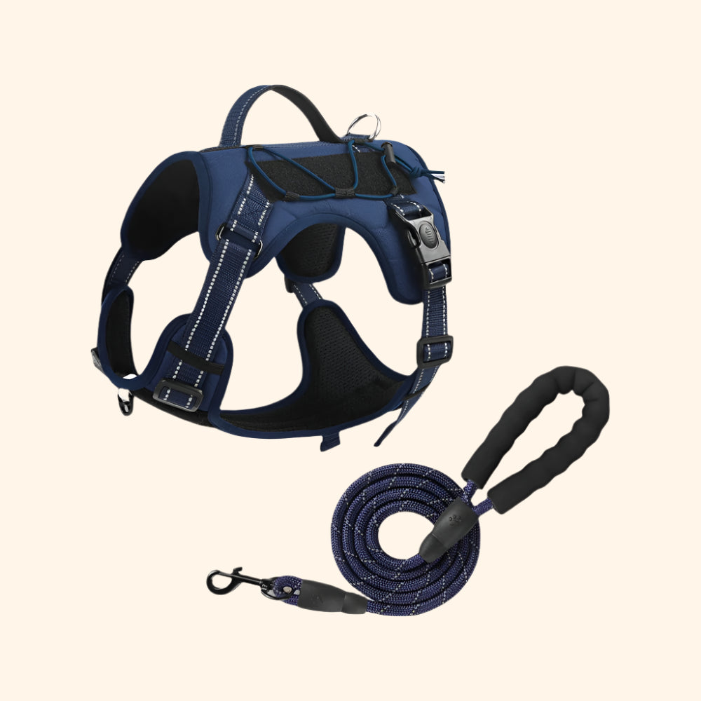 Harnais tactique + laisse – Bleu Profond