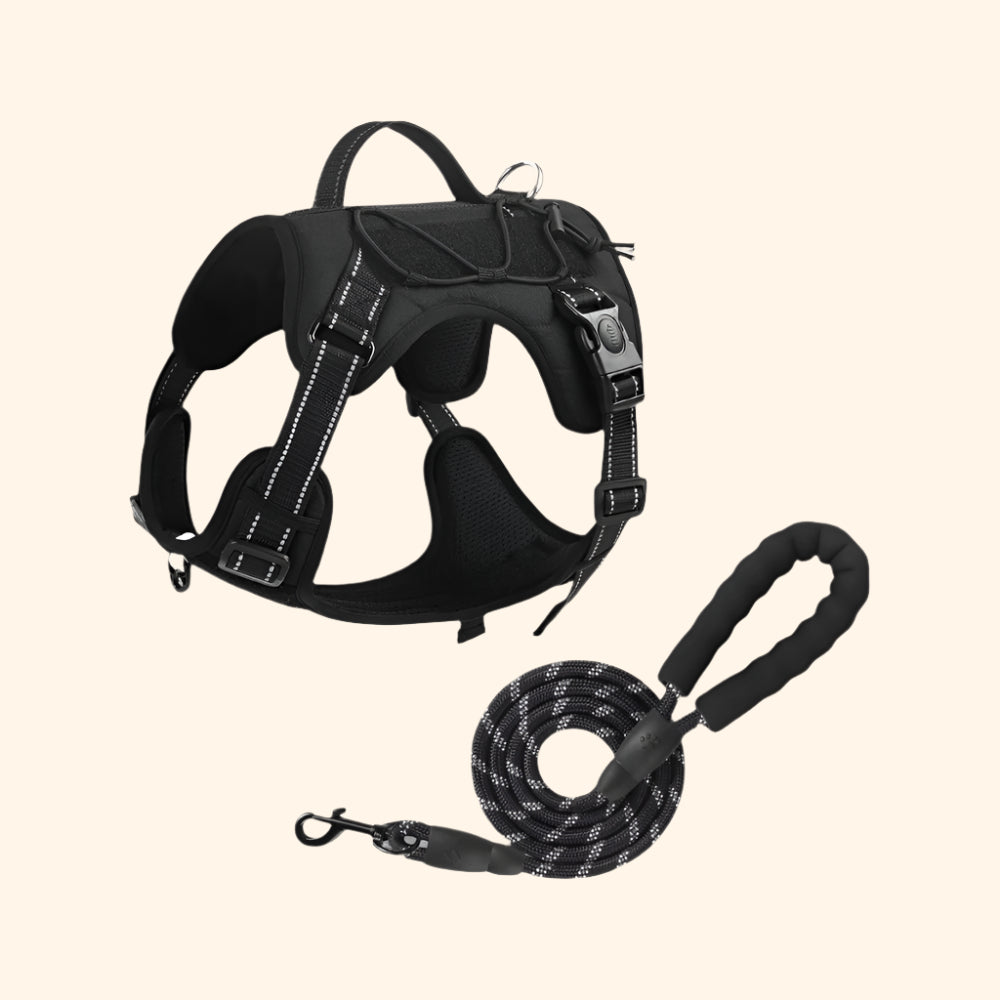 Harnais tactique + laisse – Ombre Noire