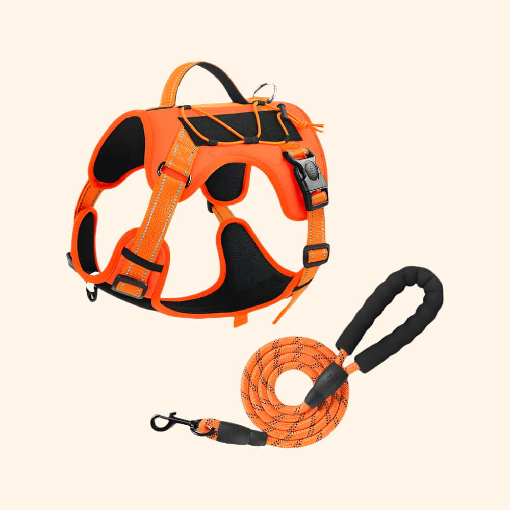 Harnais tactique + laisse – Mandarine