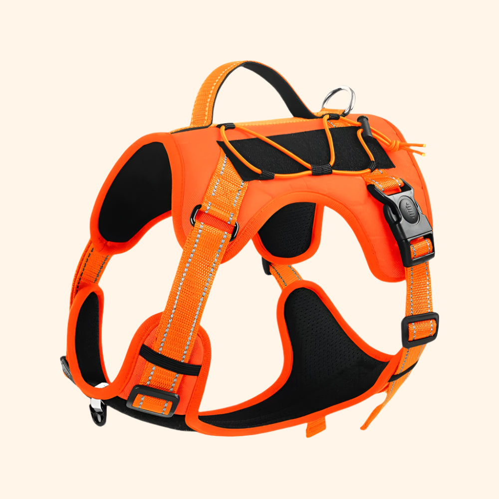 Harnais tactique + laisse – Mandarine