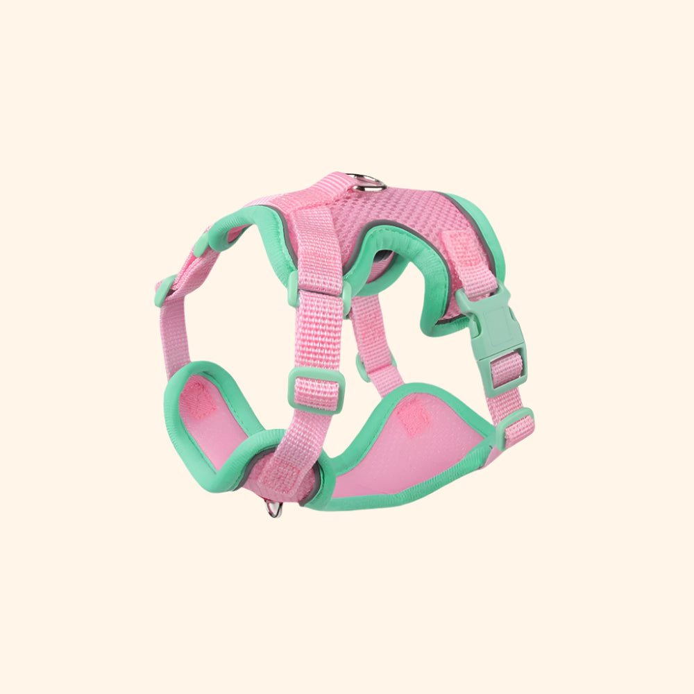 Harnais anti-fuite + laisse – Rose Fantôme