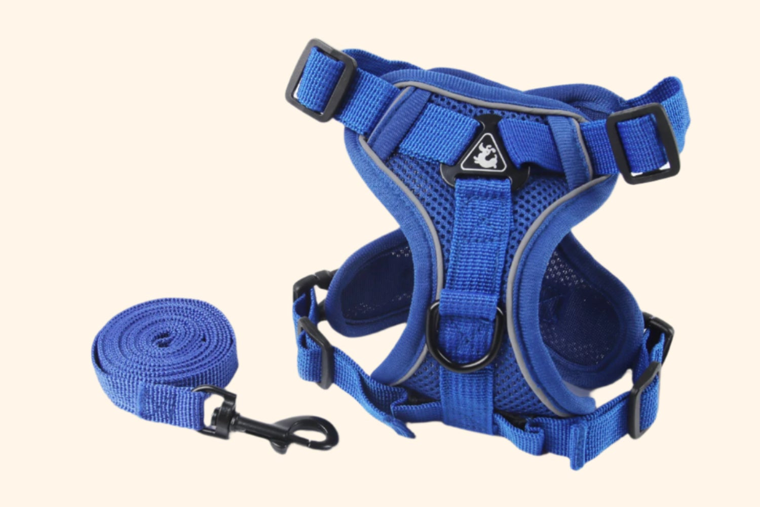 Harnais confort + laisse – Cobalt Rush