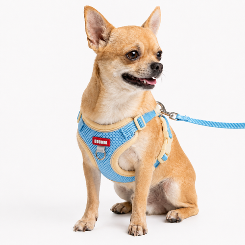 Harnais Léger — Pour les petits chiens actifs