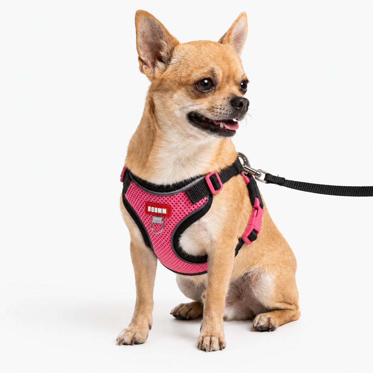 Harnais Léger — Pour les petits chiens actifs