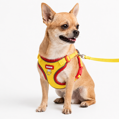 Harnais Léger — Pour les petits chiens actifs