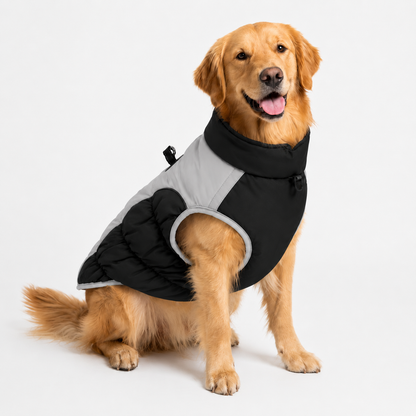 Manteau Hiver Essentiel — Protection froid & pluie pour chiens moyens et grands