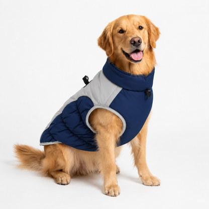 Manteau Hiver Essentiel — Protection froid & pluie pour chiens moyens et grands